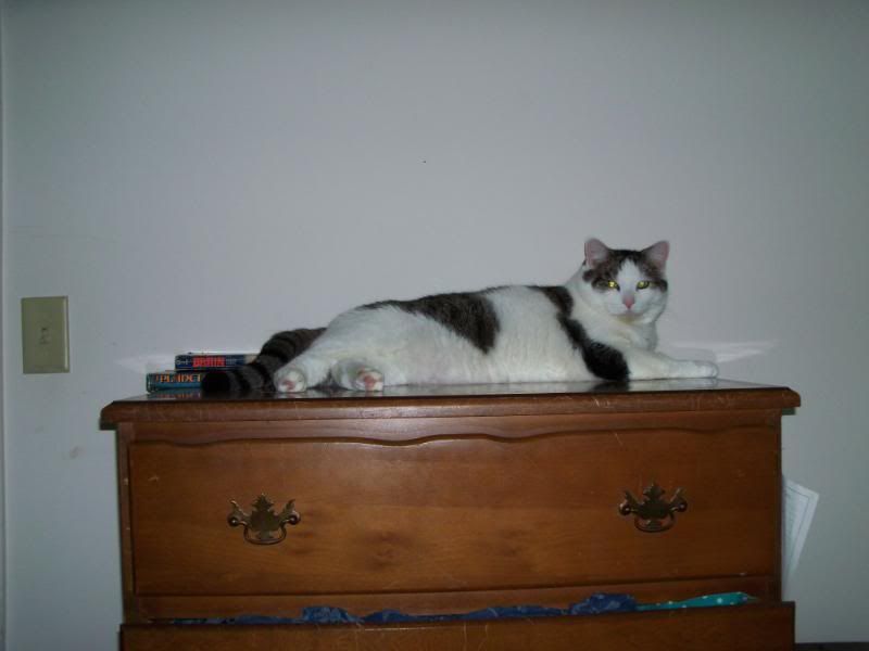 100_9225.jpg