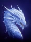 Avatar gebruiker