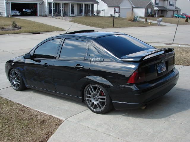 lowlowfoci003.jpg