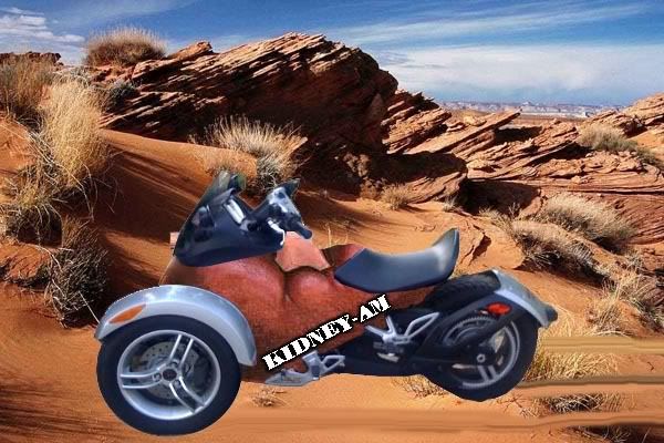 desert2_OPT.jpg