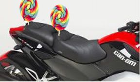 lollysaddlebags.jpg