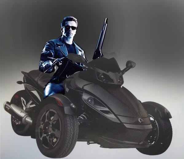termaspyder.jpg