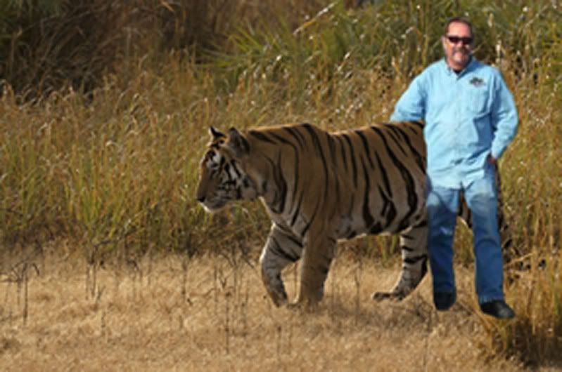 tiger.jpg