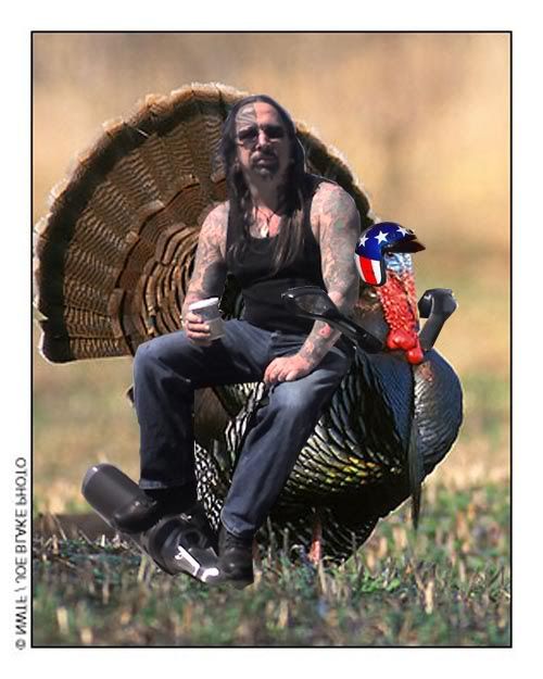 turkeyspyder.jpg