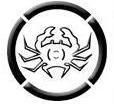 Reggid Logo