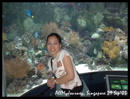 A memory of Singapore Part3 Merlion Sentosa Island 