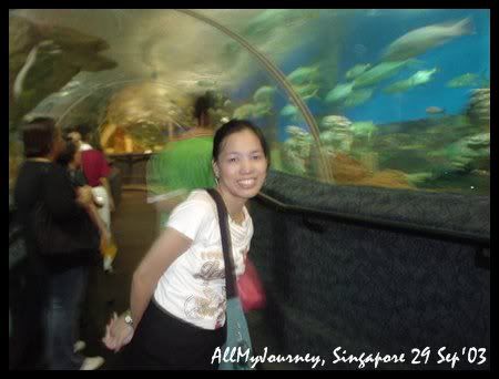 A memory of Singapore Part3 Merlion Sentosa Island 