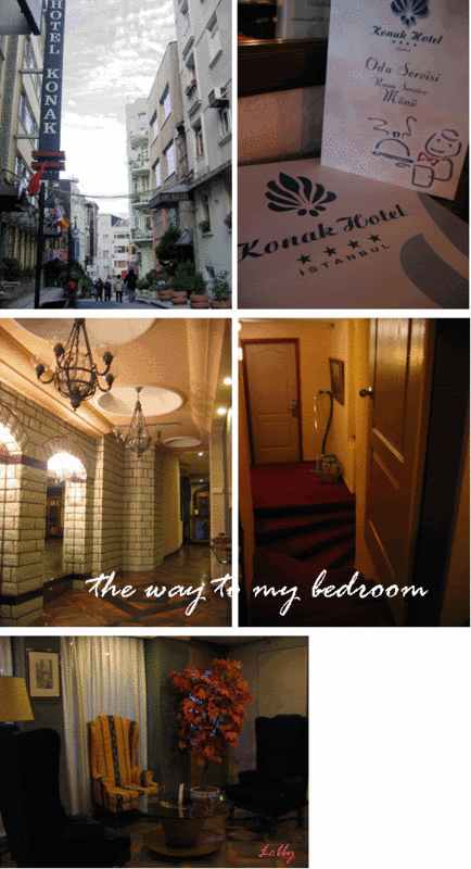 BKK Istanbul day1 Long day Long Journey