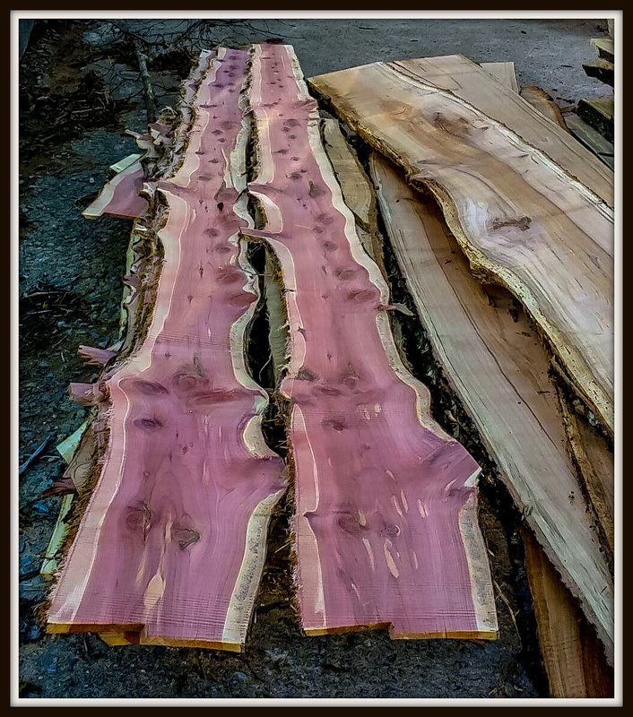 Bacon%20001-1_zpsab9evqgs.jpg