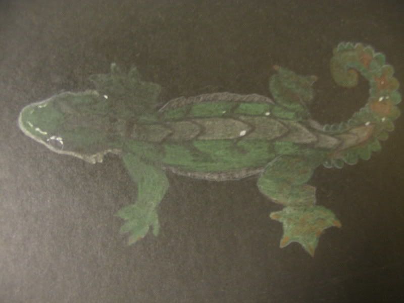 Picture141.jpg