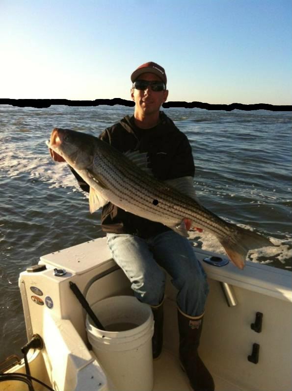 3way rig eeling for striped bass video BASS BARN