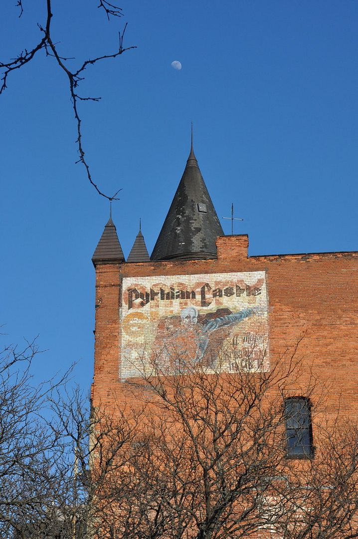 DSC_0393.jpg