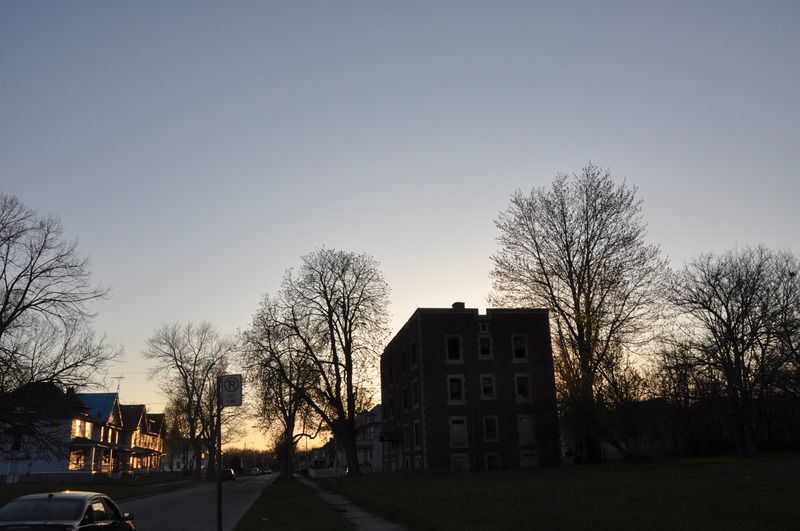 DSC_0598.jpg