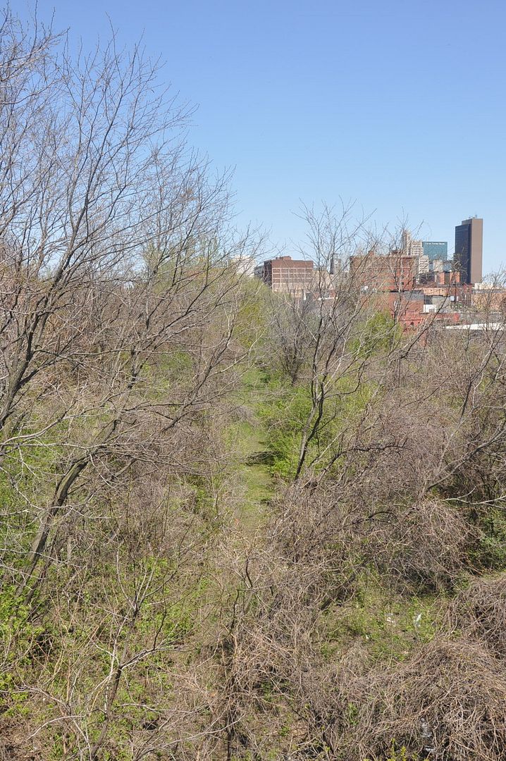 DSC_0625.jpg
