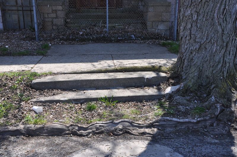 DSC_0695.jpg