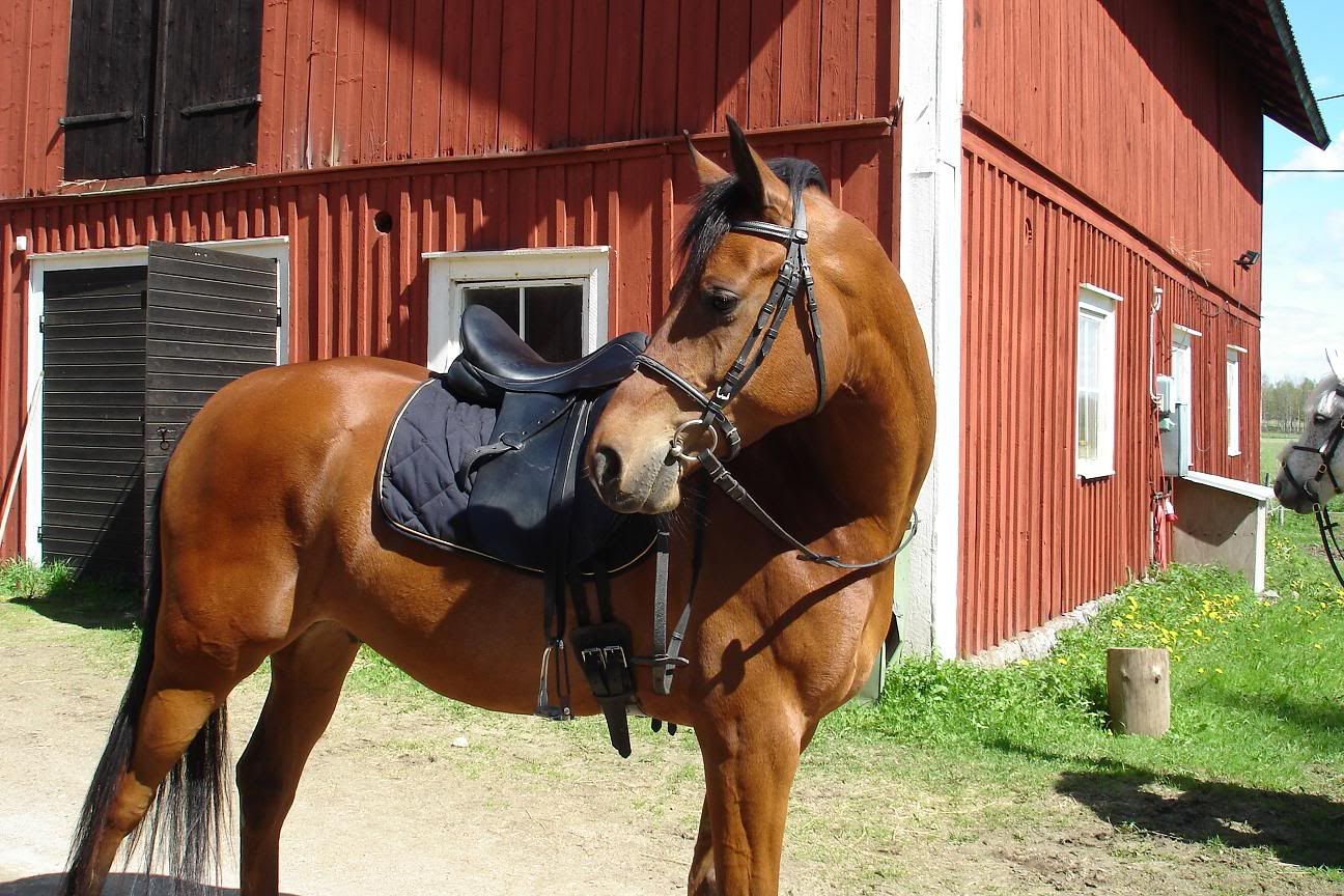 hunting071mindre.jpg