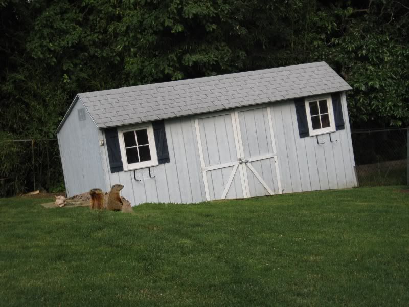 the adults are smoking and joking...