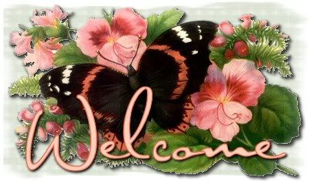 bflywelcome.jpg Butterfly Welcome image by crazychica174