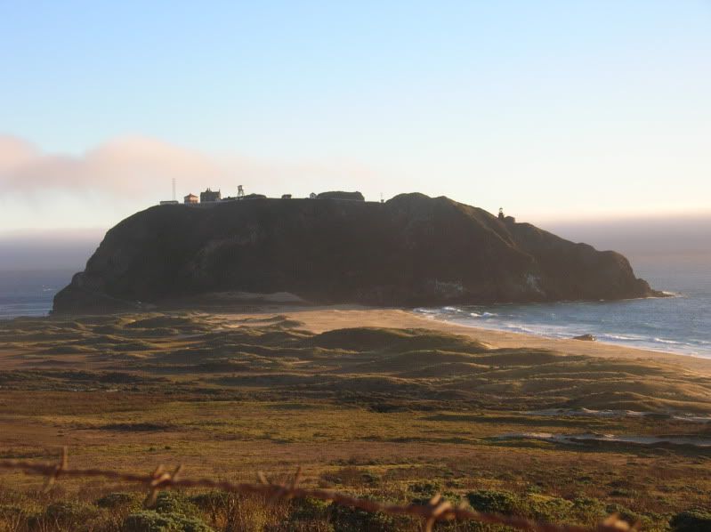 Cali2010012.jpg