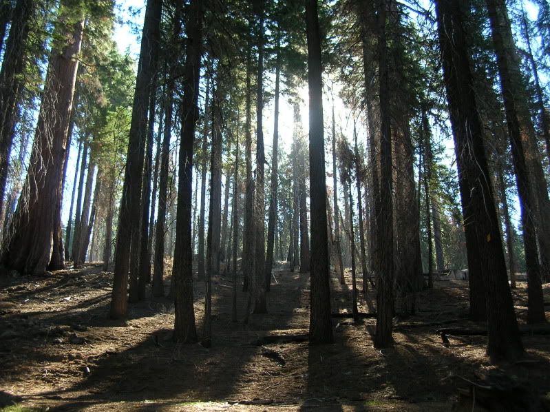 Cali2010067.jpg