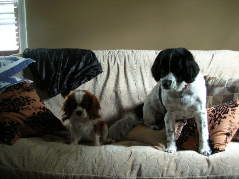 DSCN1052.jpg