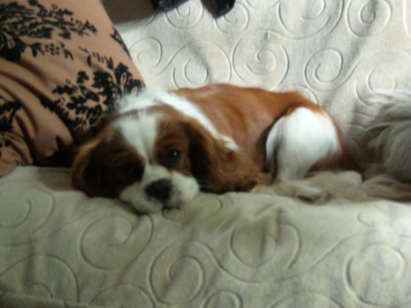 DSCN1057.jpg
