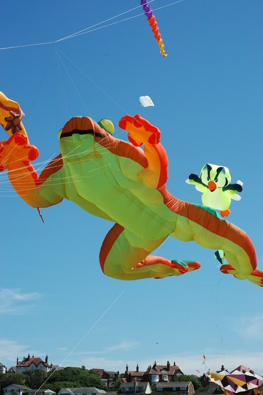 http://i29.photobucket.com/albums/c277/Tags1/DSC_0744.jpg