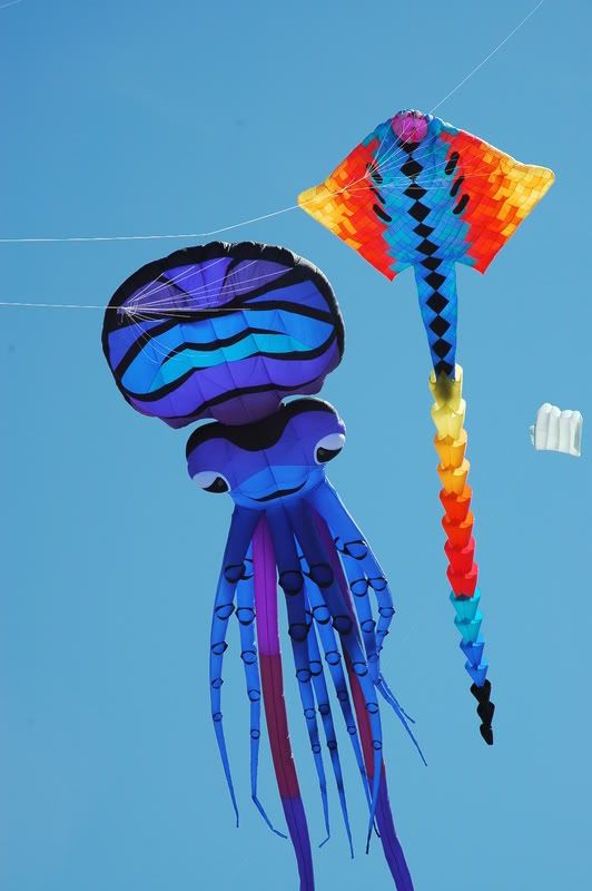 http://i29.photobucket.com/albums/c277/Tags1/DSC_0745.jpg