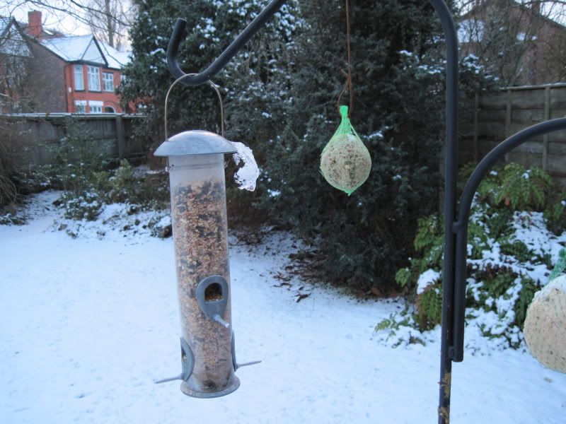http://i29.photobucket.com/albums/c277/Tags1/winter%20pix/IMG_0292.jpg