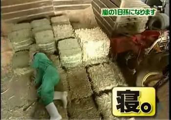 图片点击可在新窗口打开查看