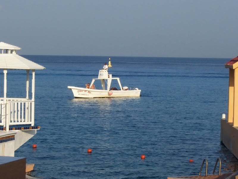 Dive with Martin/Cozumel trip report and new gear report. ScubaBoard