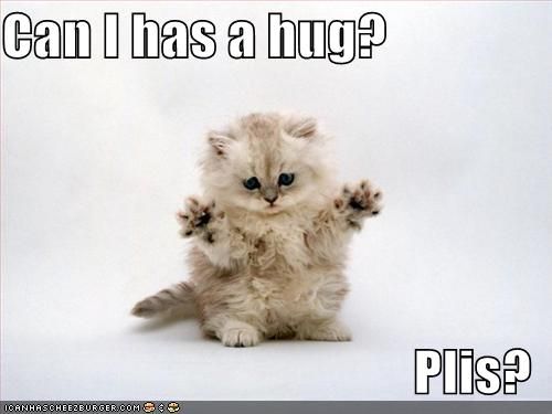 Twitter-lolcat-love-hugs.jpg
