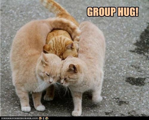 funny-pictures-group-hug.jpg