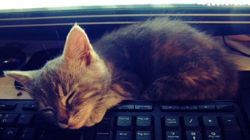 Asleep Keyboard