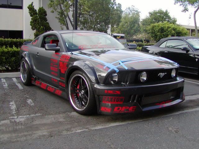 Custom Painted Mustangs