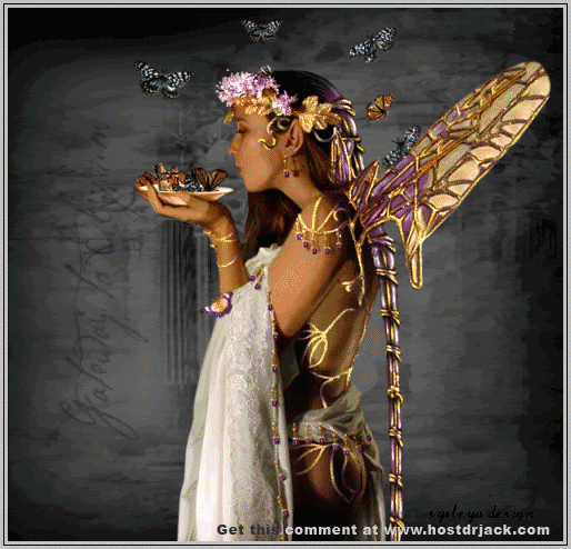 Butterfly tattoo butterfly picture butterfly: Butterfly Fairy-Butterfly 