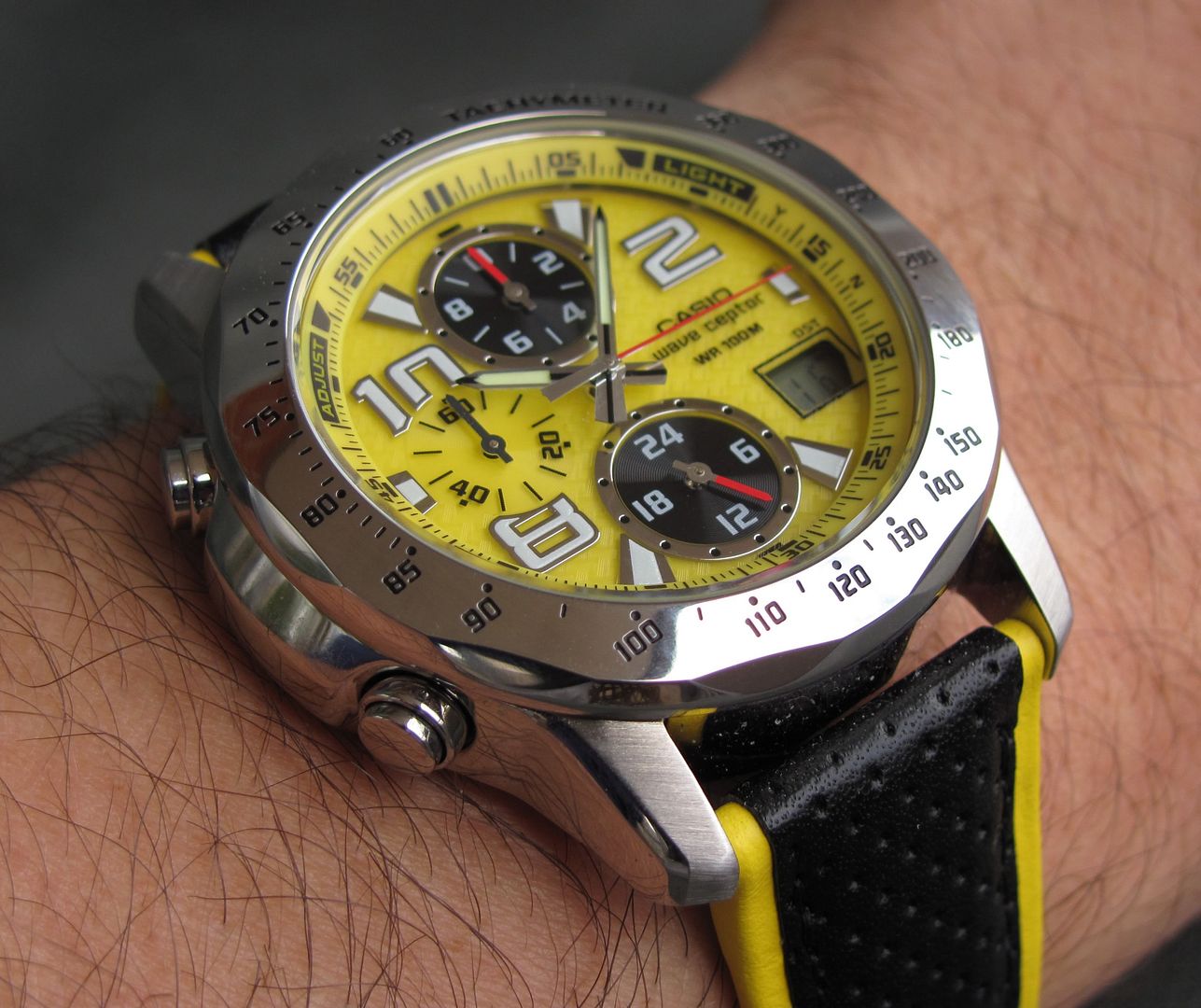 casio wvq