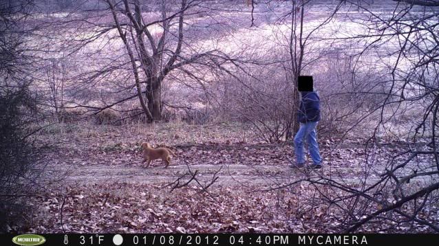 moultrie.jpg