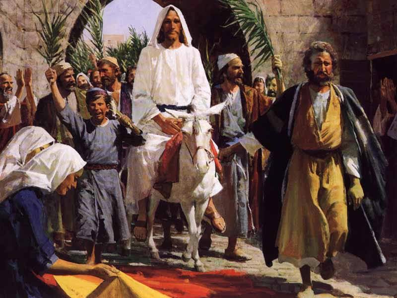 jesus riding a donkey Pictures, Images and Photos