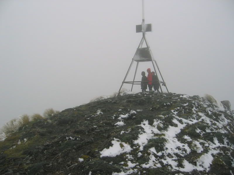 Mt Holdsworth Summit