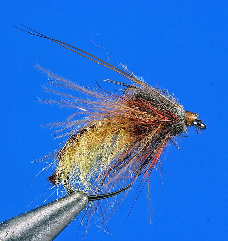 3 Stages of a Caddis LifeCycle The Fly Tying Bench Fly Tying
