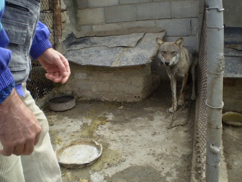 Качена снимка