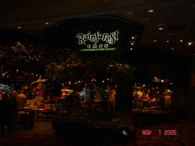Rainforest Cafe Pictures, Images and Photos