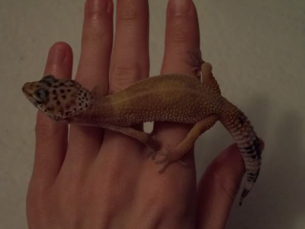 Picture007.jpg