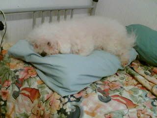 Image hosted by Photobucket.com