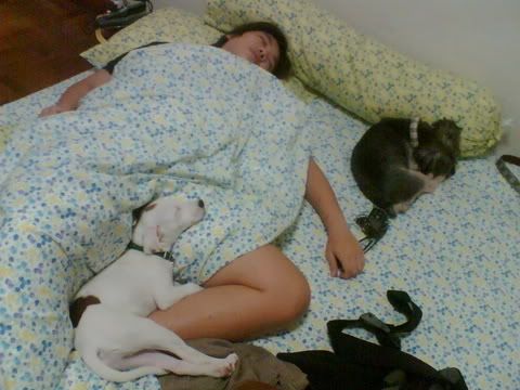 Image hosting by Photobucket