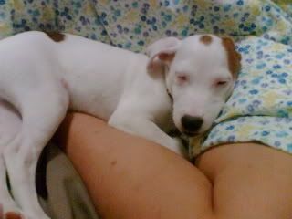 Image hosting by Photobucket