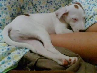 Image hosting by Photobucket