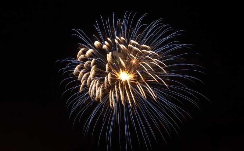 IMAGE: http://i29.photobucket.com/albums/c288/DChellew/Fireworks/Fwks038x6.jpg