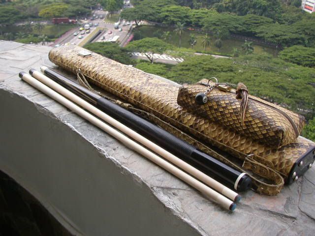 P1010001.jpg